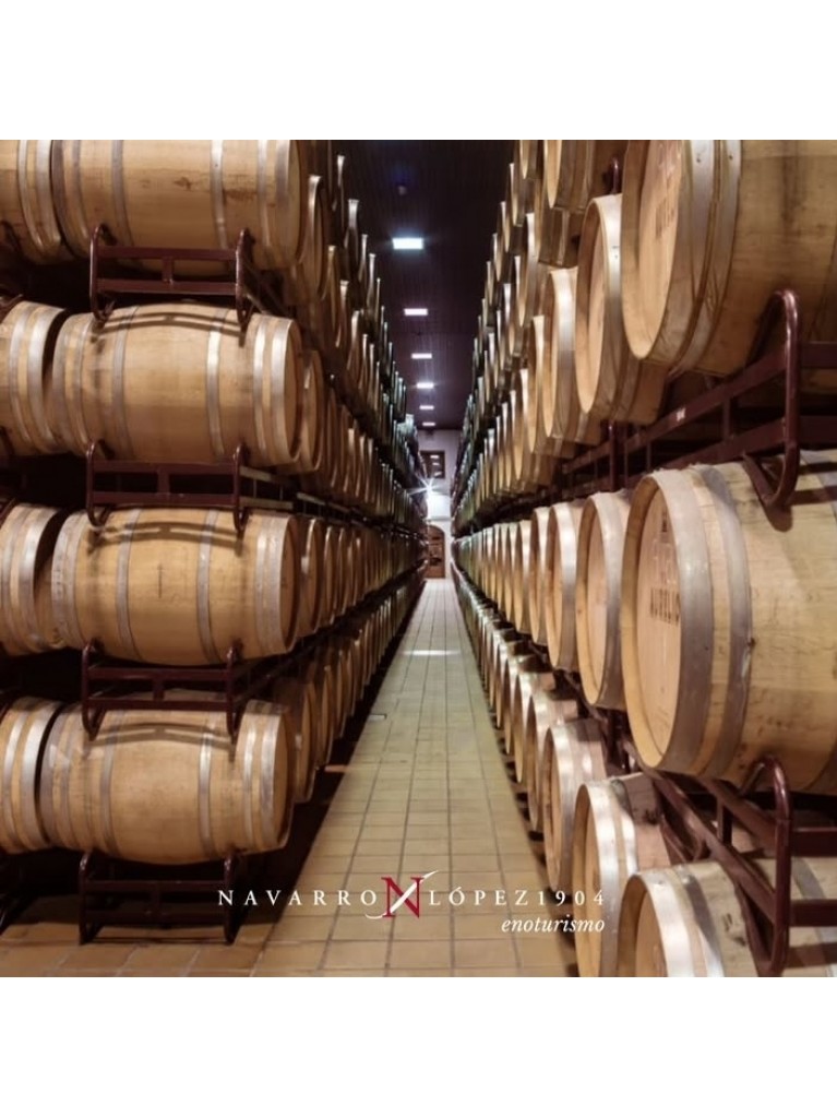 Visita 2 Bodegas + cata
