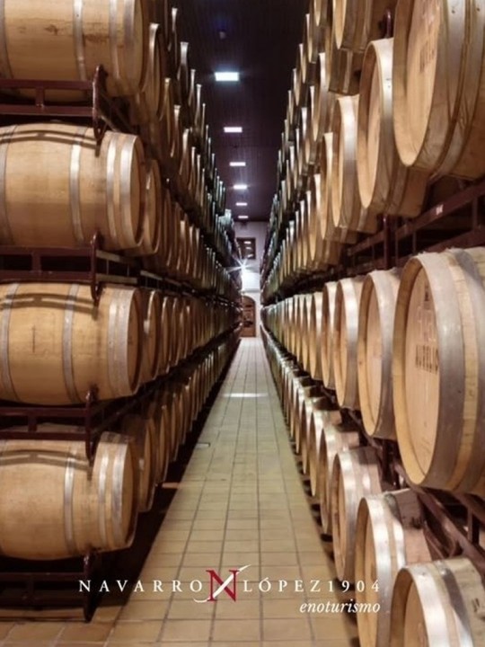 Visita 2 Bodegas + Cata